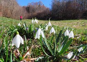 Monte Zucco ad anello fiorito da S. Antonio ABB. via Sonzogno-12 marzo 2026-FOTOGALLERY